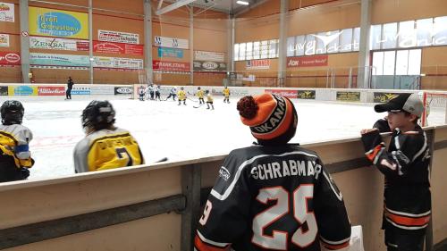 #icehockey #hockey #hockeylife #hockeyplayer #hockeygame #goalie #eishockey #ice #hockeylove #hockeygoalie #puck #schrabmayr