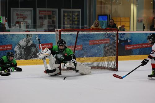 #icehockey #hockey #hockeylife #hockeyplayer #hockeygame #goalie #eishockey #ice #hockeylove #hockeygoalie #puck #schrabmayr