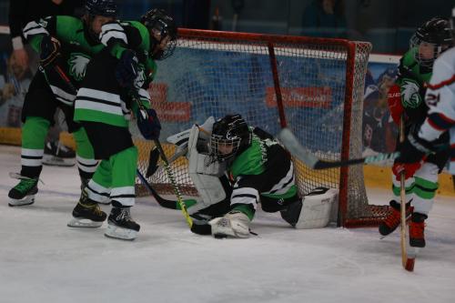 #icehockey #hockey #hockeylife #hockeyplayer #hockeygame #goalie #eishockey #ice #hockeylove #hockeygoalie #puck #schrabmayr