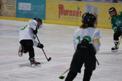 #icehockey #hockey #hockeylife #hockeyplayer #hockeygame #goalie #eishockey #ice #hockeylove #hockeygoalie #puck #schrabmayr