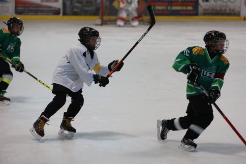 #icehockey #hockey #hockeylife #hockeyplayer #hockeygame #goalie #eishockey #ice #hockeylove #hockeygoalie #puck #schrabmayr