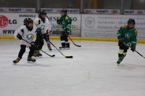 #icehockey #hockey #hockeylife #hockeyplayer #hockeygame #goalie #eishockey #ice #hockeylove #hockeygoalie #puck #schrabmayr