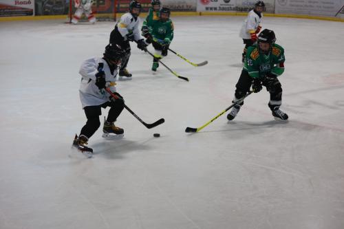 #icehockey #hockey #hockeylife #hockeyplayer #hockeygame #goalie #eishockey #ice #hockeylove #hockeygoalie #puck #schrabmayr