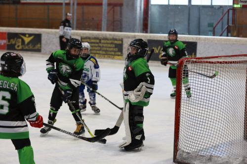 #icehockey #hockey #hockeylife #hockeyplayer #hockeygame #goalie #eishockey #ice #hockeylove #hockeygoalie #puck #schrabmayr