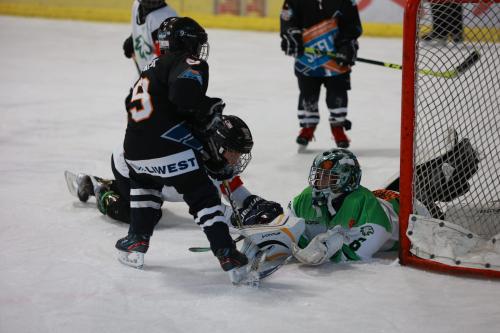 #icehockey #hockey #hockeylife #hockeyplayer #hockeygame #goalie #eishockey #ice #hockeylove #hockeygoalie #puck #schrabmayr