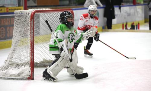 #icehockey #hockey #hockeylife #hockeyplayer #hockeygame #goalie #eishockey #ice #hockeylove #hockeygoalie #puck #schrabmayr