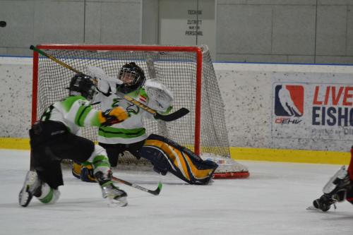 #icehockey #hockey #hockeylife #hockeyplayer #hockeygame #goalie #eishockey #ice #hockeylove #hockeygoalie #puck #schrabmayr