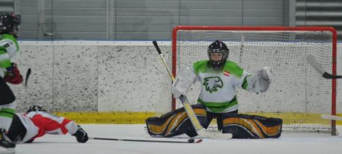 #icehockey #hockey #hockeylife #hockeyplayer #hockeygame #goalie #eishockey #ice #hockeylove #hockeygoalie #puck #schrabmayr