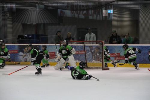 #icehockey #hockey #hockeylife #hockeyplayer #hockeygame #goalie #eishockey #ice #hockeylove #hockeygoalie #puck #schrabmayr