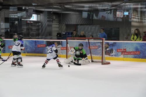 #icehockey #hockey #hockeylife #hockeyplayer #hockeygame #goalie #eishockey #ice #hockeylove #hockeygoalie #puck #schrabmayr